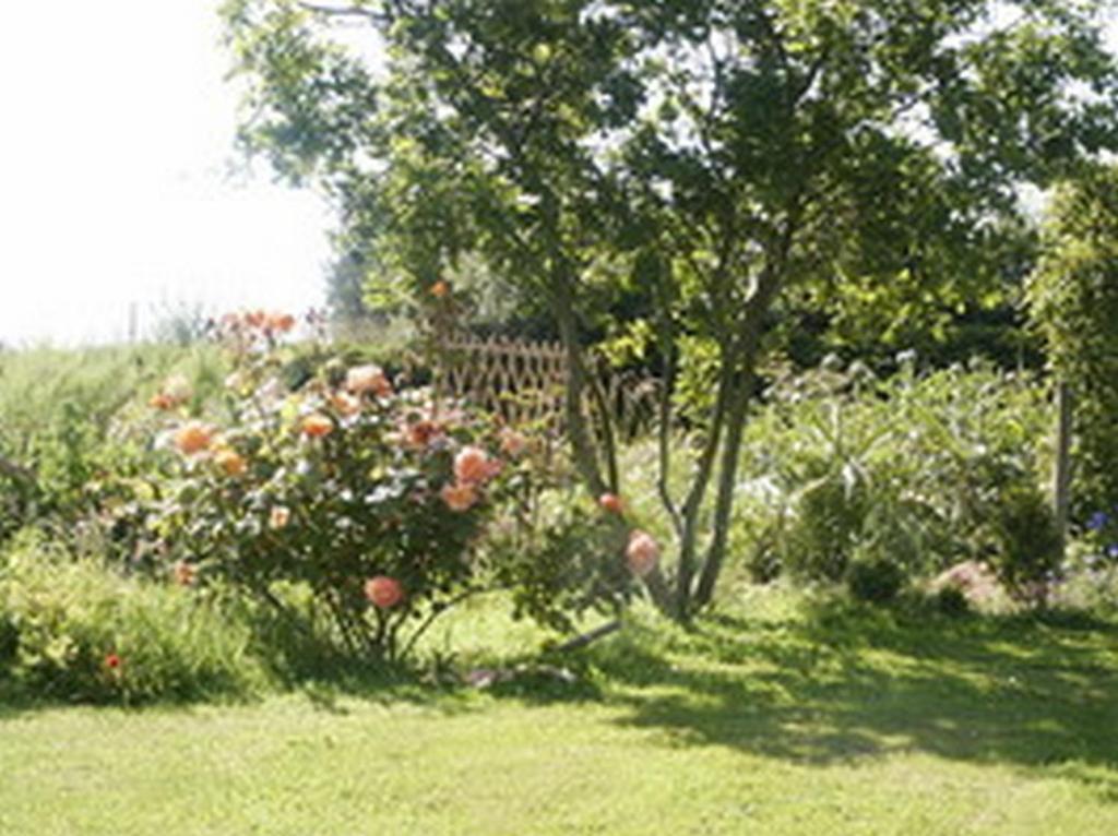 B&B Kerlilou Plouguiel Екстер'єр фото
